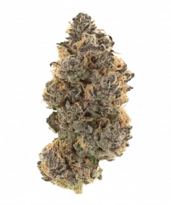 Lemonade Slush, belirgin limon aroması ve enerji veren etkisiyle öne çıkan bir Sativa türüdür. Cuban Linx genetiğini keşfedin ve etkilerini görüntüleyin.