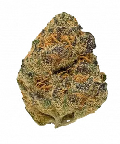 Lemonberry, kimyasal limon aroması, vanilya ve yaban mersini notalarıyla öne çıkan Sativa baskın bir türdür. Dengeli etkilerini ve genetik yapısını keşfedin.