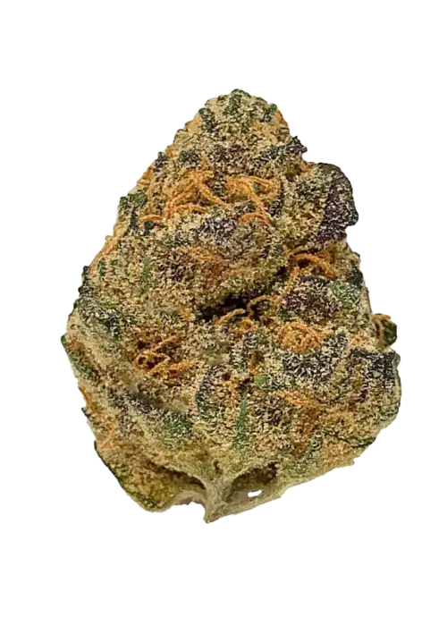 Lemonberry, kimyasal limon aroması, vanilya ve yaban mersini notalarıyla öne çıkan Sativa baskın bir türdür. Dengeli etkilerini ve genetik yapısını keşfedin.