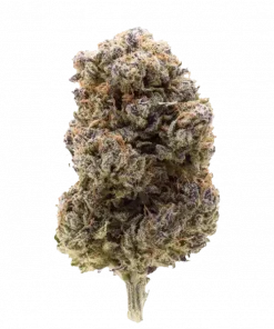 Lemongrass Gas, yakıtımsı ve limon aromalarıyla öne çıkan Indica dominant bir türdür. Yaratıcılığı artıran ve rahatlatan bu türü keşfedin.