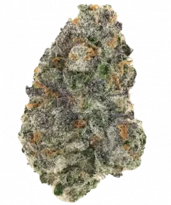 Lemonheads V2, keskin limon aroması ve 'ya varan THC içeriğiyle öne çıkan hibrit bir türdür. Canlandırıcı etkileri ve genetik yapısını keşfedin.