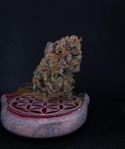 Lemonpaya™ Feminized Esrar Tohumu (Fast Buds)