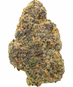 Lt. Duntz, benzersiz narenciye aroması ve yüksek THC içeriğiyle bilinen dengeli bir hibrit türdür. Stres ve ağrıyla başa çıkmak için ideal. Şimdi keşfedin.