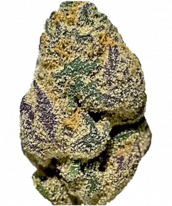 Life Hack, tatlı narenciye ve peynir aromalarıyla öne çıkan Indica ağırlıklı bir türdür. Yüksek THC içeriği sayesinde eşsiz bir deneyim sunar. Hemen keşfedin.