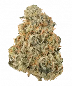 Light Speed, keskin limon aroması ve yüksek THC içeriğiyle bilinen dengeli bir hibrit türüdür. Enerji verici etkileriyle öne çıkar. Şimdi keşfedin.