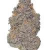 Lilac OG BX1, yakıtımsı ve çiçeksi aromalarıyla öne çıkan Indica dominant bir türdür. Yüksek THC içeriğiyle ağrı ve uykusuzluğa iyi gelir. Etkilerini keşfedin.