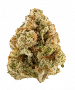 Lime Dubbz, kimyasal limon aroması ve dizel notalarıyla öne çıkan Sativa baskın bir türdür. Yüksek THC içeriğiyle enerji ve odaklanma sağlar. Hemen keşfedin.