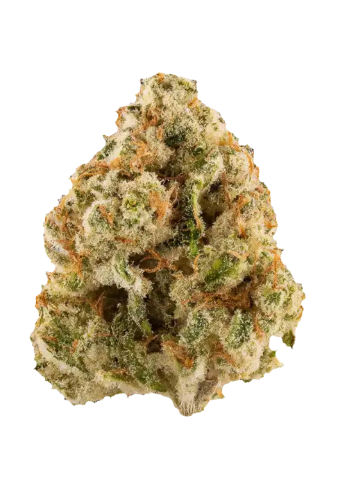 Lime Dubbz, kimyasal limon aroması ve dizel notalarıyla öne çıkan Sativa baskın bir türdür. Yüksek THC içeriğiyle enerji ve odaklanma sağlar. Hemen keşfedin.