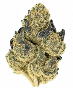 Lime Glaze, tatlı limon aroması ve yüksek THC içeriğiyle öne çıkan Indica baskın bir türdür. Hızlı hasat ve güçlü etkileri keşfedin.