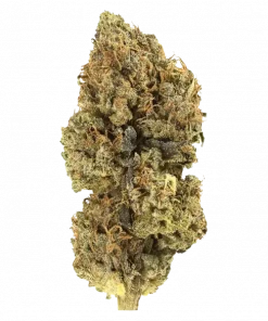 Lime Nectar, yoğun limon aroması ve dengeli etkisiyle öne çıkan bir hibrit türdür. Yüksek THC içeriğiyle yaratıcılığı keşfedin. Genetik yapısını görüntüleyin.