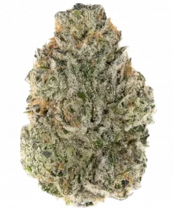 Lime Suki, kimyasal limon aroması ve yakıtımsı notalarıyla öne çıkan Indica dominant bir türdür. Sakinleştirici etkileriyle bilinen bu eşsiz türü keşfedin.