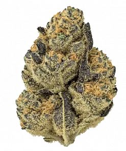 Limedog OG, sert yakıtımsı ve narenciye aromalarıyla bilinen, THC içeren Indica dominant bir türdür. Etkilerini ve genetik yapısını keşfedin.