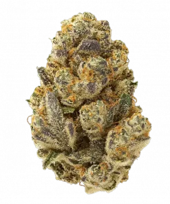 Lobster Butter, tatlı narenciye aroması ve yüksek THC içeriğiyle bilinen Indica dominant bir türdür. Etkilerini ve tıbbi faydalarını keşfedin.