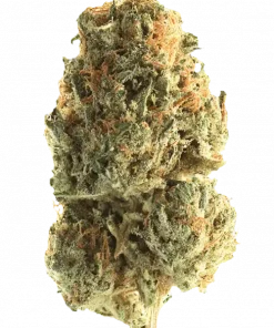 Log Cabin, sert yakıtımsı ve çam aromaları ile öne çıkan Sativa baskın bir türdür. Yüksek THC içeriğiyle bilinir. Genetik yapısını ve etkilerini keşfedin.