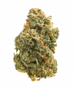 London Gold, ferahlatıcı narenciye ve nane aromalarıyla öne çıkan Sativa baskın bir türdür. Yüksek THC içeriğiyle dikkat çeken bu türün genetik yapısını keşfedin.