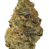 Loud Pipes, sert yakıtımsı aroması ve yüksek THC içeriğiyle bilinen dengeli bir hibrit türdür. Enerji verici ve rahatlatıcı etkilerini keşfedin.