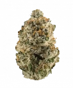 Love Potion, kimyasal limon aroması ve yüksek THC içeriğiyle bilinen Sativa baskın bir türdür. Enerjik etkileriyle öne çıkar. Şimdi keşfedin.