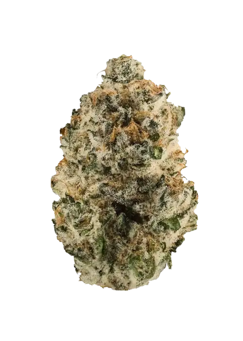 Love Potion, kimyasal limon aroması ve yüksek THC içeriğiyle bilinen Sativa baskın bir türdür. Enerjik etkileriyle öne çıkar. Şimdi keşfedin.