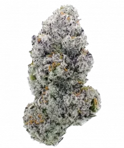 Lucid Vision, şarapsı aroması ve dengeli etkileriyle öne çıkan Indica baskın bir türdür. Depresyon ve stres için ideal. Genetik yapısını keşfedin ve görüntüleyin.