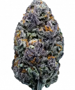 Incredible Lucky 777, tatlı ve toprak aromalarıyla öne çıkan Indica dominant bir türdür. Stres ve ağrı giderme potansiyelini keşfedin. Hemen görüntüleyin.