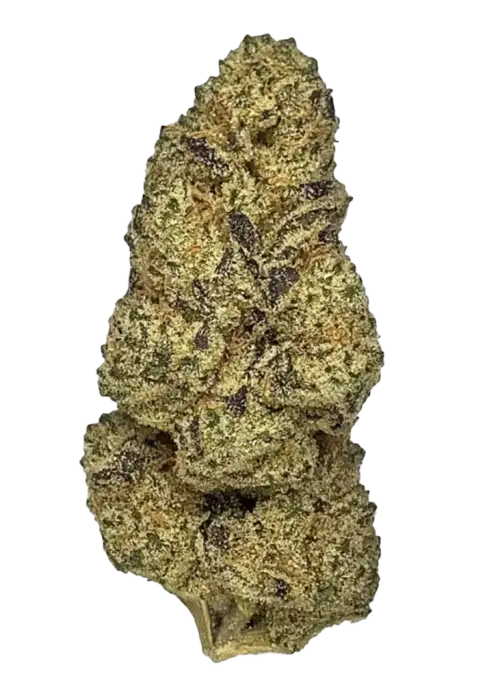 Lucky Charms, şekerli meyve aroması ve dengeli etkisiyle öne çıkan hibrit bir türdür. Enerji ve rahatlama sunan bu eşsiz türü keşfedin.