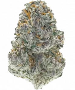 Lung Buster, sert yakıtımsı aroması ve yüksek THC içeriğiyle öne çıkan Indica baskın bir türdür. Derin rahatlama ve potansiyel faydalarını keşfedin.