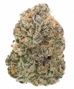 Shuga Seeds Lunosa, tatlı yaban mersini aroması ve güçlü Indica genetiğiyle derin gevşeme sağlar. Uyku sorunları için ideal bu türü keşfedin.