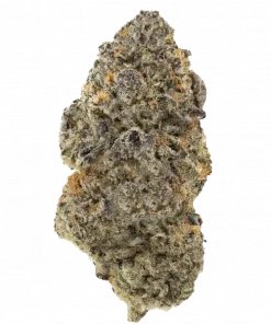 Las Vegas Purple Kush (LVPK), toprak ve tatlı aromalarıyla öne çıkan Indica dominant bir türdür. Ağrı ve stresi azaltan etkilerini keşfedin. Hemen görüntüleyin.