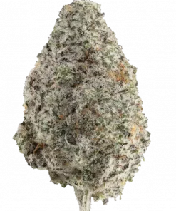 MAC 1, yakıtımsı ve narenciye aromalarıyla öne çıkan dengeli bir hibrit türdür. Yüksek THC içeriğiyle yaratıcılığınızı keşfedin. Şimdi görüntüleyin.