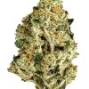 MAC (Miracle Alien Cookies), yakıtımsı aroması ve dengeli genetiğiyle öne çıkan hibrit bir türdür. Yüksek THC içeriğiyle benzersiz deneyimi keşfedin ve etkilerini görüntüleyin.