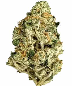 MAC (Miracle Alien Cookies), yakıtımsı aroması ve dengeli genetiğiyle öne çıkan hibrit bir türdür. Yüksek THC içeriğiyle benzersiz deneyimi keşfedin ve etkilerini görüntüleyin.