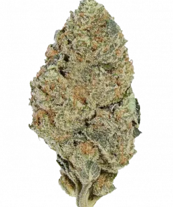 Mac and Cheese, kremsi peynir aroması ve yüksek THC içeriğiyle öne çıkan indica baskın bir türdür. Rahatlatıcı ve yaratıcı etkilerini keşfedin.