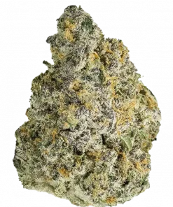 Mac n’ Jack R1, kimyasal limon aroması ve çam notalarıyla öne çıkan dengeli bir türdür. Yüksek verimiyle bilinen bu türün genetik yapısını keşfedin.