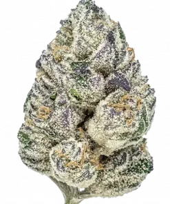 MAC Stomper, üzüm aromaları ve rahatlatıcı etkisiyle bilinen Indica dominant bir türdür. Yüksek verim potansiyelini ve faydalarını keşfetmek için tıklayın.