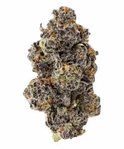 Mac V2, turunçgil aromaları ve dengeli etkileriyle öne çıkan hibrit bir türdür. Alien Cookies genetiğiyle güçlendirilmiştir. Özelliklerini keşfedin.