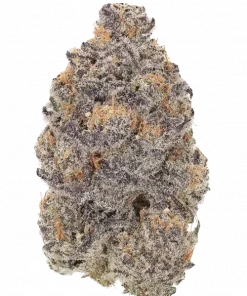 Mad Dog, üzüm aromaları ve rahatlatıcı etkisiyle öne çıkan dengeli bir hibrit türdür. Stres ve kaygı için ideal. Bu eşsiz türü keşfedin.