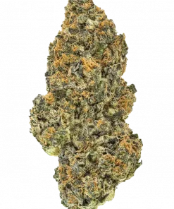 Maddfruit, tatlı meyve aromaları ve rahatlatıcı etkileriyle öne çıkan indica dominant bir türdür. Reçineli yapısıyla dikkat çeker. Özelliklerini keşfedin.