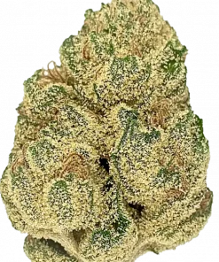 Mafia Funeral, sert yakıtımsı aroması ve yüksek THC içeriğiyle öne çıkan Indica baskın bir türdür. Depresyon ve ağrı için potansiyel faydalarını keşfedin. Görüntüleyin.