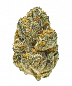 Magic Marker, yakıtımsı ve turunçgil aromalarıyla öne çıkan indica dominant bir türdür. Yüksek THC içeriğiyle rahatlatıcı etkilerini keşfedin ve genetik yapısını görüntüleyin.