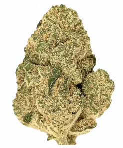 Malawi Gold, tatlı ve baharatlı aromalarıyla öne çıkan saf bir Sativa türüdür. Enerji verici etkileriyle bilinen bu özel türü keşfedin.