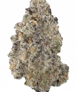 Mandarin Cookies R3, portakal-skunk aromalı, yüksek reçineli bir türdür. Dengeli etkisiyle depresyon ve stresi azaltır. Bu eşsiz türü keşfedin.