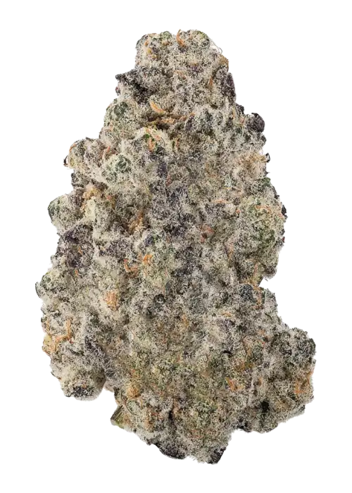 Mandarin Cookies R3, portakal-skunk aromalı, yüksek reçineli bir türdür. Dengeli etkisiyle depresyon ve stresi azaltır. Bu eşsiz türü keşfedin.