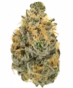 Mandarin Punch, turunçgil aromaları ve enerji verici etkileriyle bilinen Indica dominant bir türdür. Depresyon ve yorgunluk için ideal. Özelliklerini keşfedin.