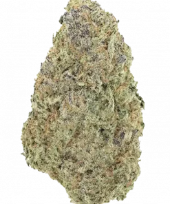 Mandarin Zkittlez F1, tatlı üzüm aroması ve öforik etkileriyle öne çıkan bir hibrit türdür. Stres ve ağrı için ideal. Genetik yapısını keşfedin.