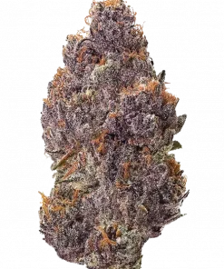 Mandarin Zkittlez R1, portakal ve üzüm aromalarıyla öne çıkan Indica baskın bir türdür. Depresyon ve stresi azaltmaya yardımcıdır. Özelliklerini keşfedin.