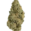 Mango OG, tatlı mango aroması ve yüksek THC içeriğiyle bilinen güçlü bir Indica türüdür. Kronik ağrı ve uykusuzluğa iyi gelir. Özelliklerini keşfedin.