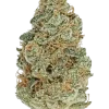 Mango Haze, belirgin mango aroması ve yüksek THC içeriğiyle öne çıkan dengeli bir hibrit türdür. Bu eşsiz türün genetik yapısını ve etkilerini keşfedin.