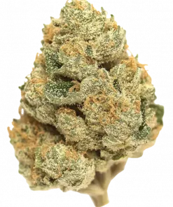 Mango Kush, belirgin mango aroması ve orta THC seviyesiyle öne çıkan bir Indica dominant türdür. Stres ve depresyon için ideal. Özelliklerini keşfedin.