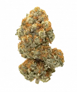 Mango Lemonade, mango ve turunçgil aromalarıyla öne çıkan Indica baskın hibrit türdür. Yüksek THC içeriğiyle dikkat çeker. Genetik yapısını keşfedin.