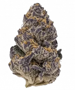 Mango Matrimony, yakıtımsı ve ananas aromalarıyla öne çıkan Indica baskın bir türdür. Yüksek THC içeriğiyle dikkat çeker. Genetik yapısını ve etkilerini keşfedin.